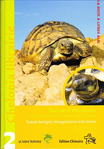 tortue d'hermann. tortue de boettger et tortue d'herzégovine