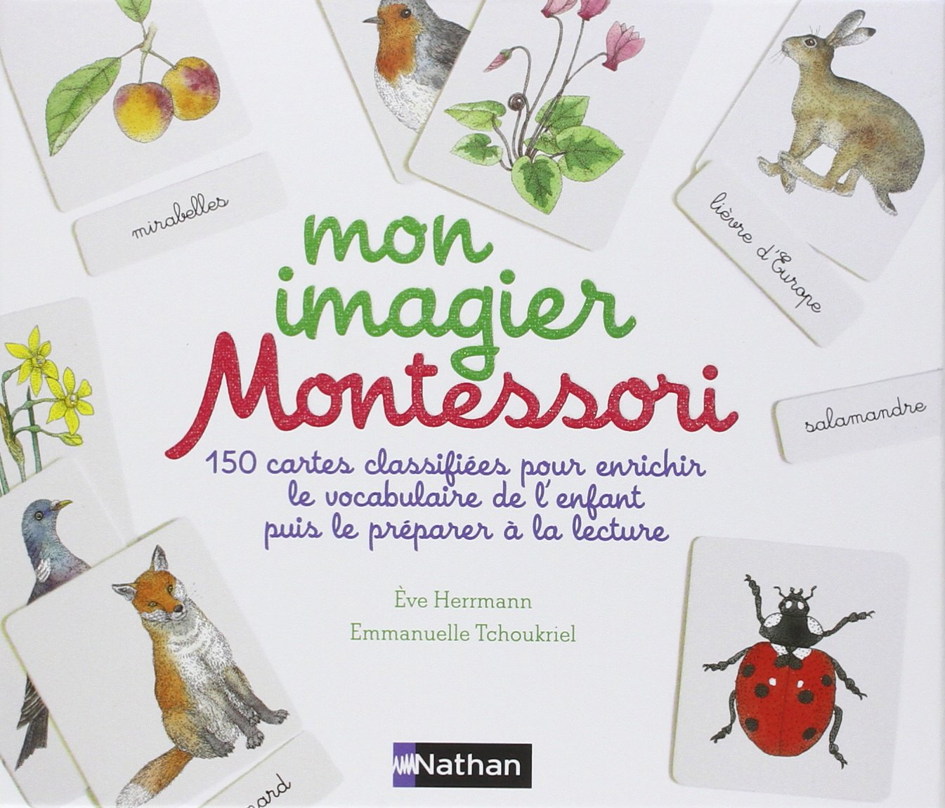 Mon imagier Montessori : 150 cartes classifiées pour enrichir le vocabulaire de l'enfant puis le pré