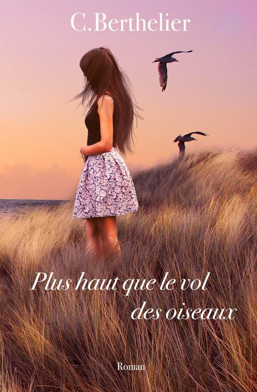 Plus haut que le vol des oiseaux