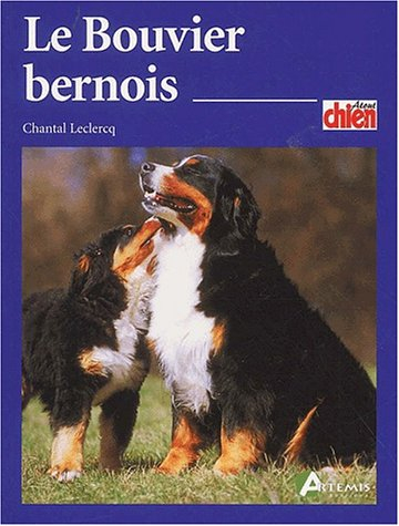 Le bouvier bernois