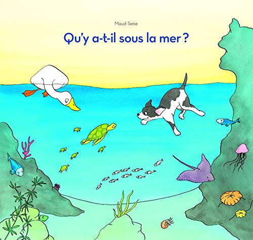 Qu'y a-t-il sous la mer ?