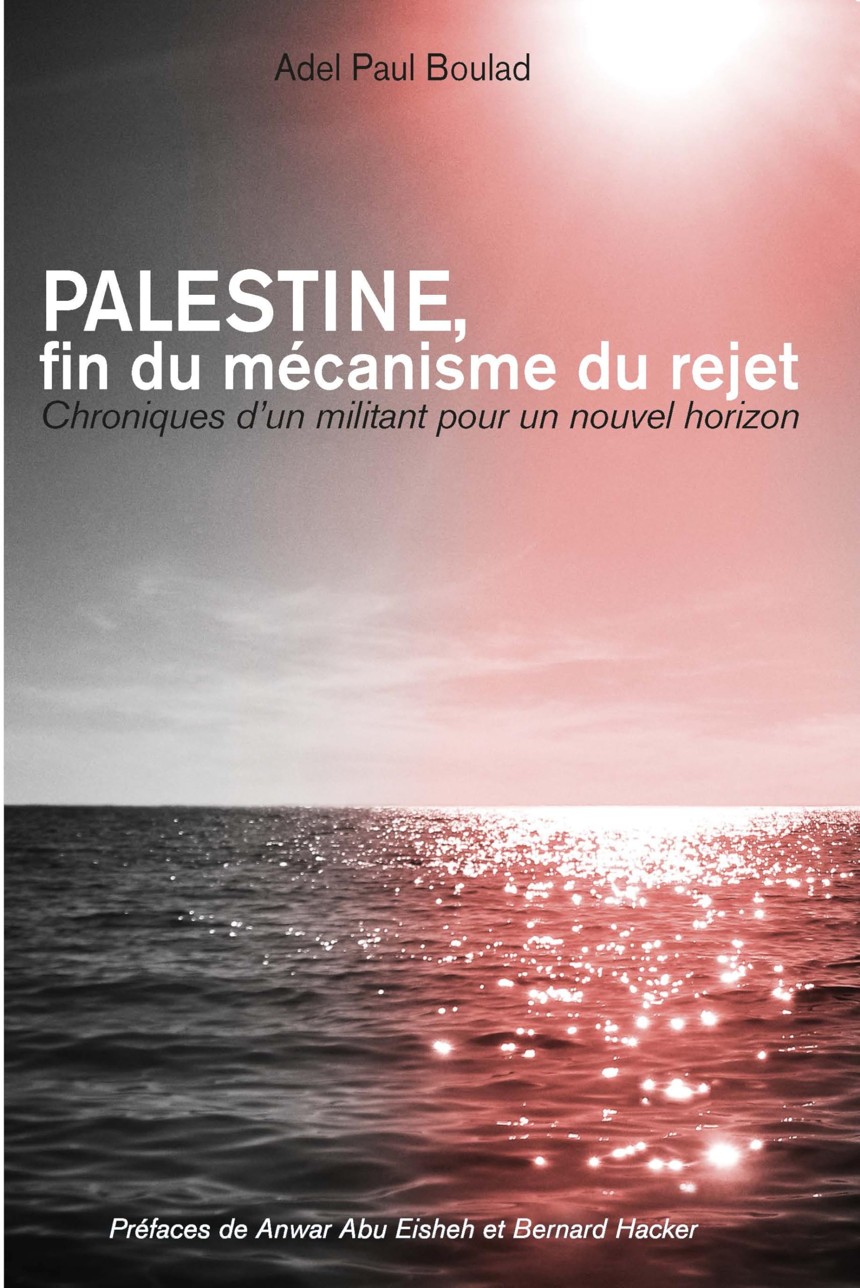 PALESTINE. Fin du mécanisme du rejet. Chroniques d'un militant pour un nouvel horizon