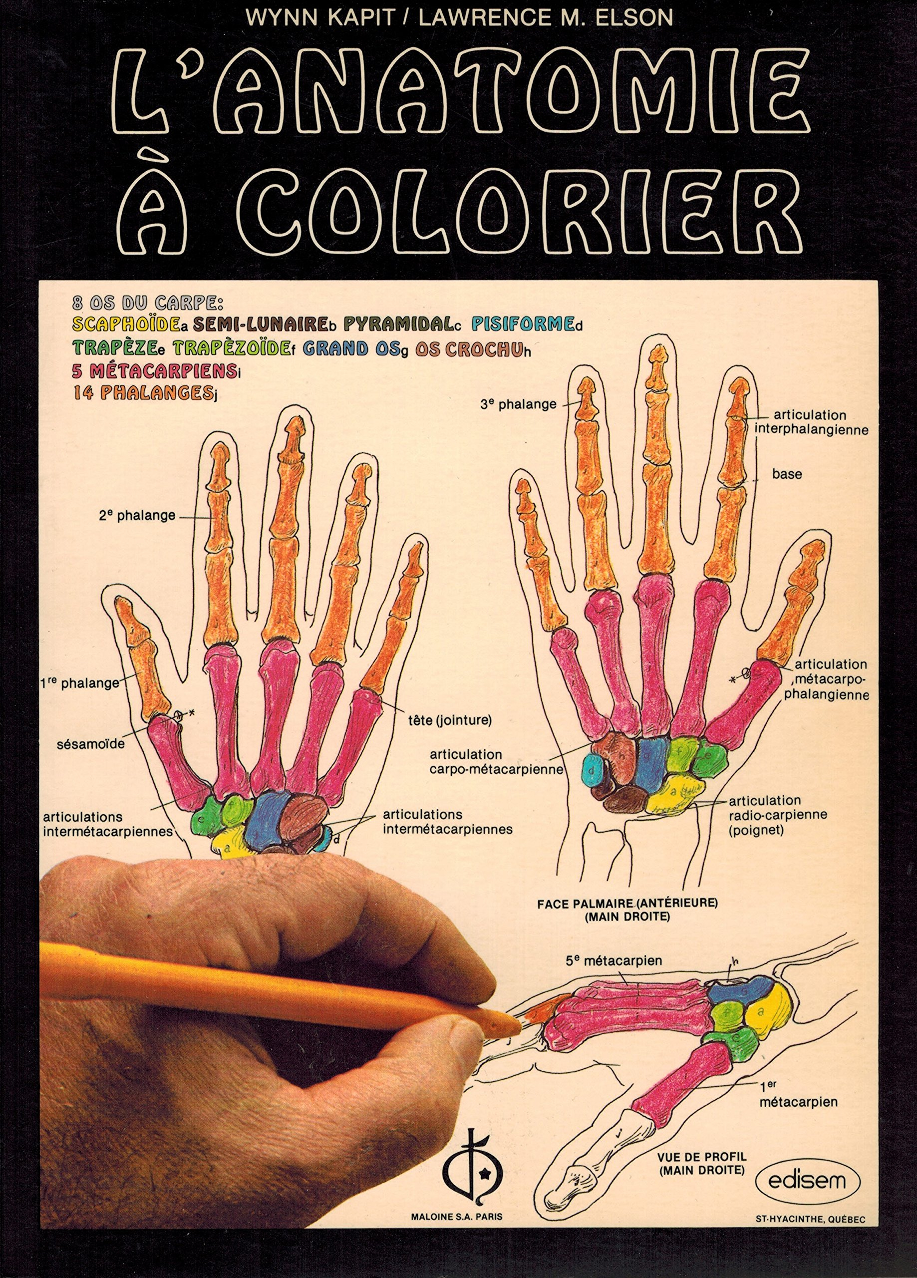 L'Anatomie à colorier