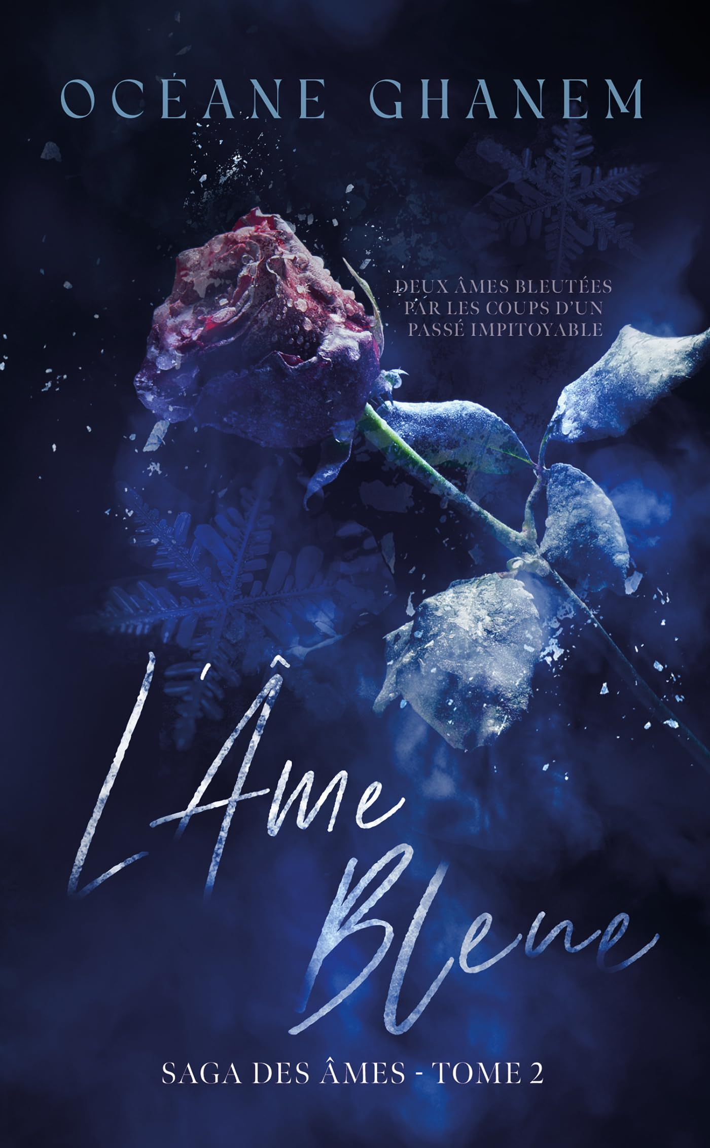 Saga des âmes. Vol. 2. L'âme bleue. Vol. 2