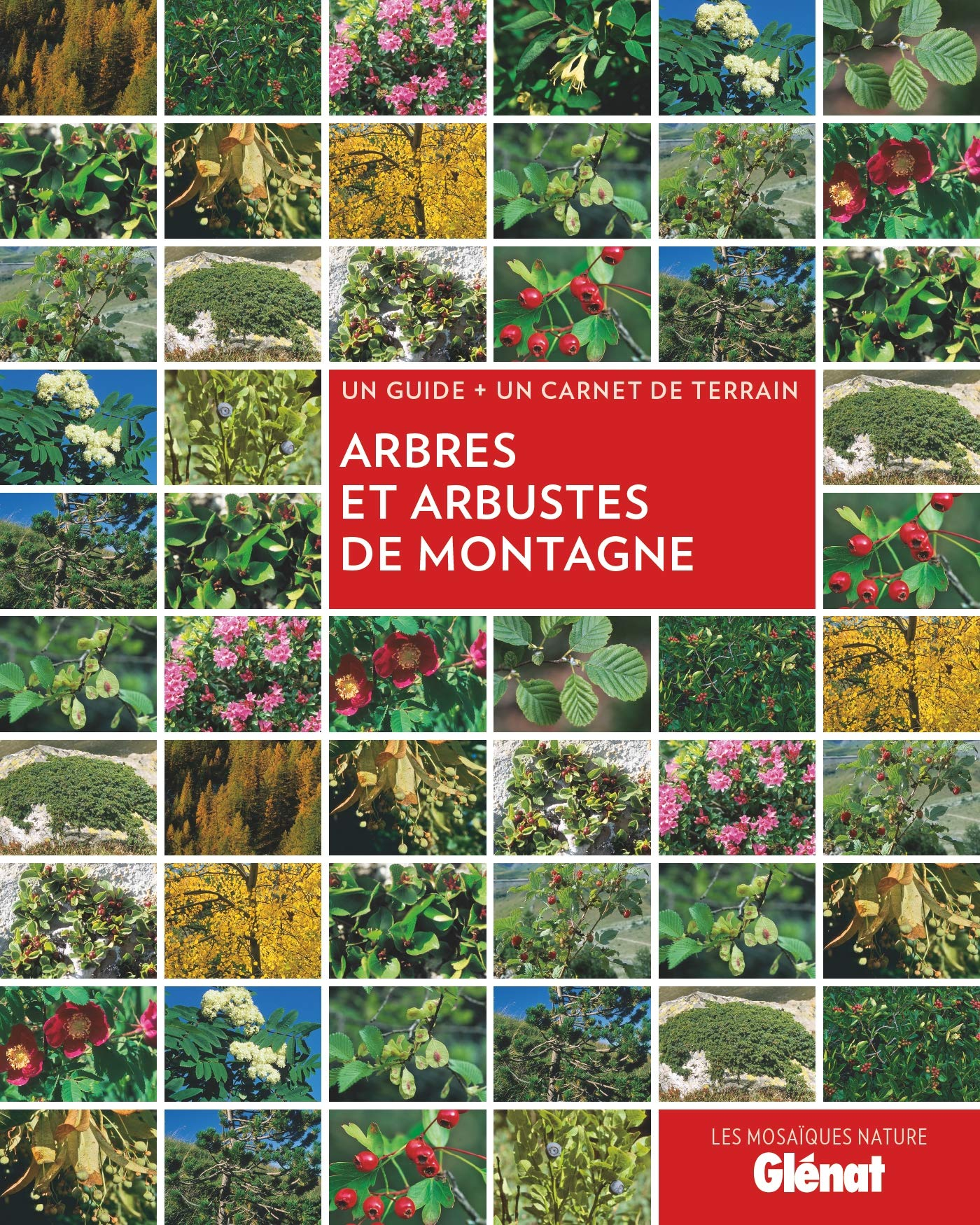 Arbres et arbustes de montagne : un guide + un carnet de terrain