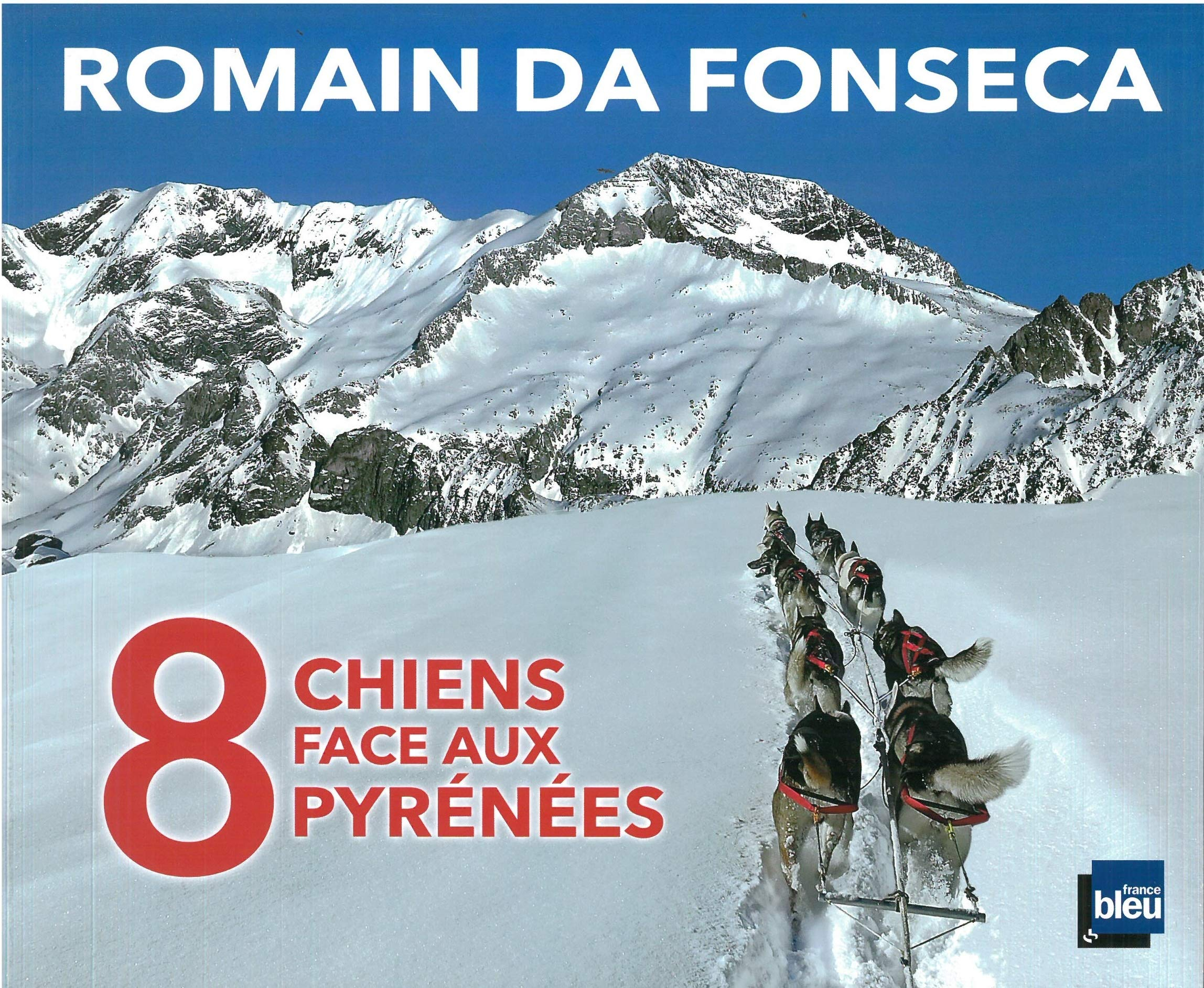 8 chiens face aux Pyrénées