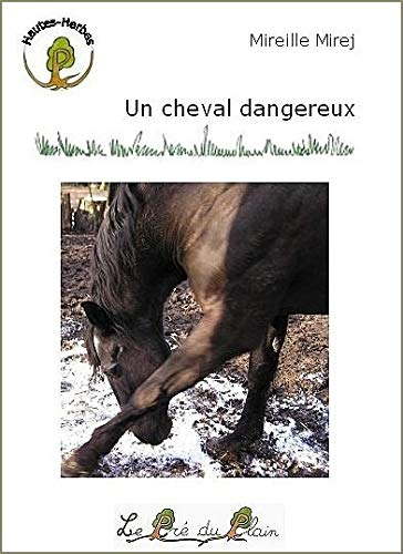 Un cheval dangereux