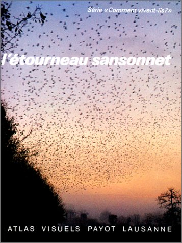 etourneau sansonnet n16
