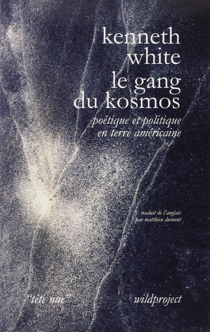 Le gang du kosmos : poétique et politique en terre américaine