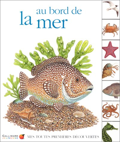 Au bord de la mer