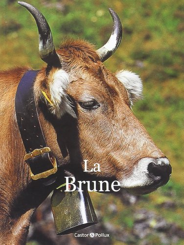 La brune