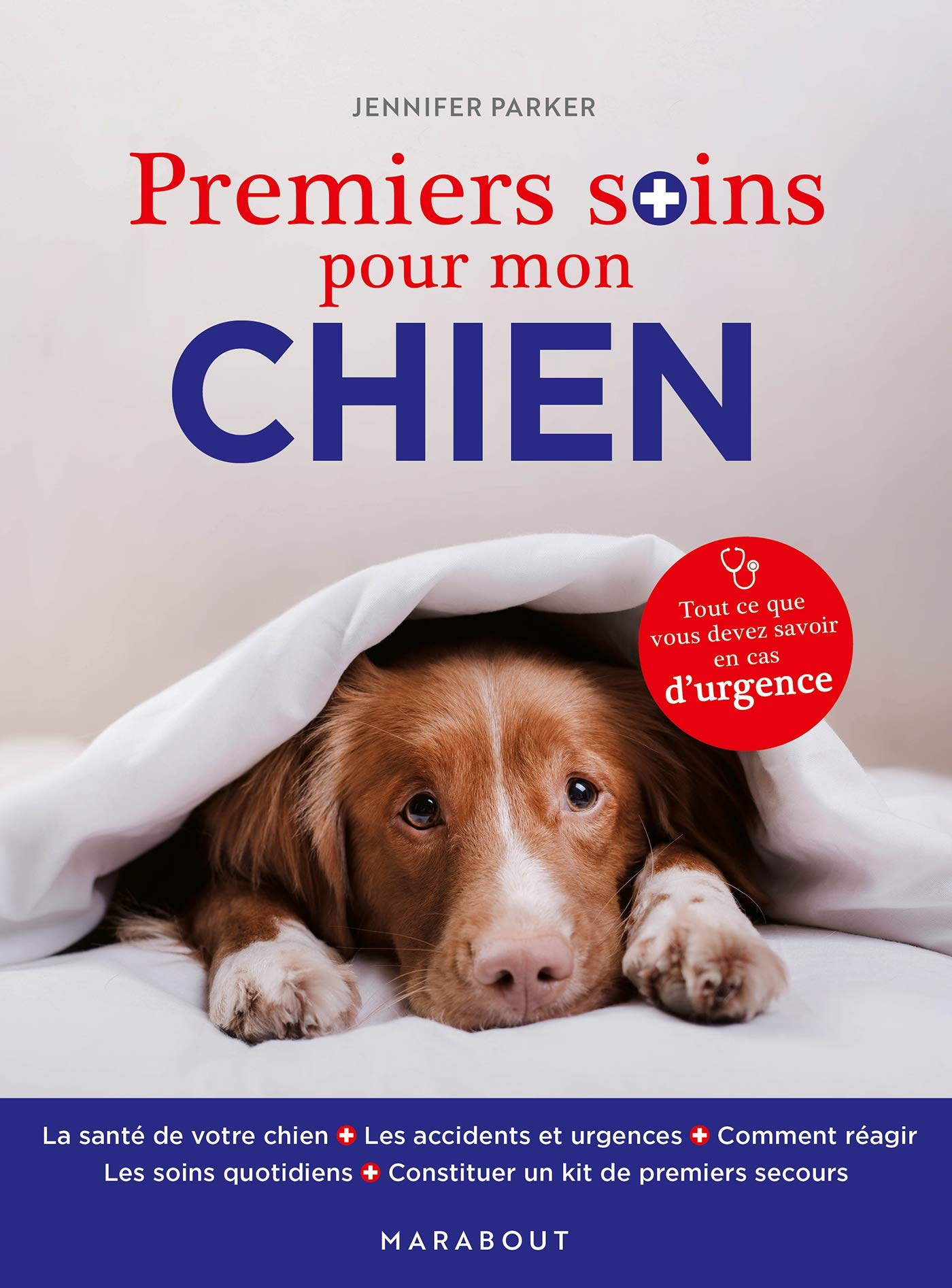Premiers soins pour mon chien : tout ce que vous devez savoir en cas d'urgence