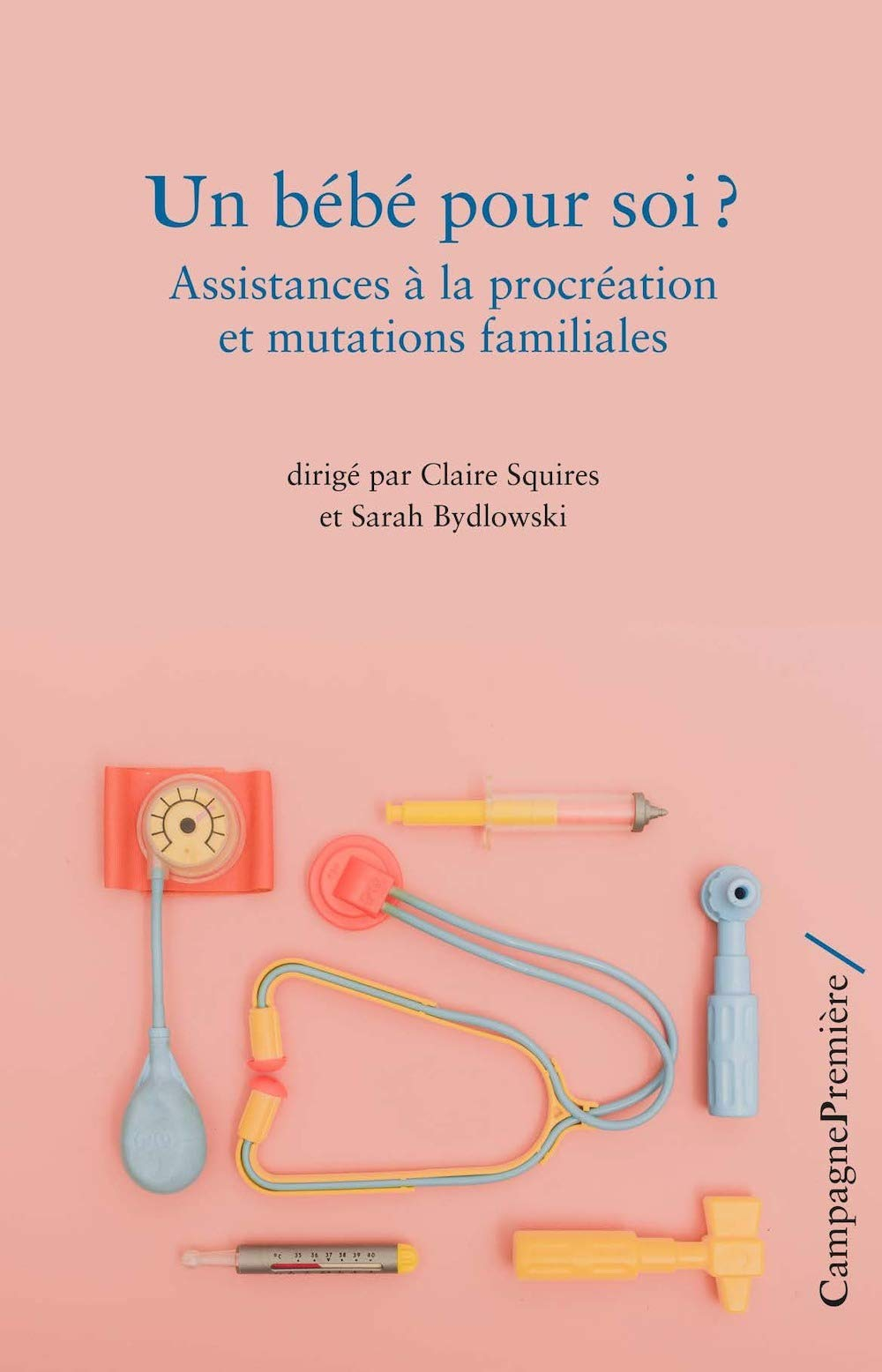 Un bébé pour soi ? : assistances à la procréation et mutations familiales