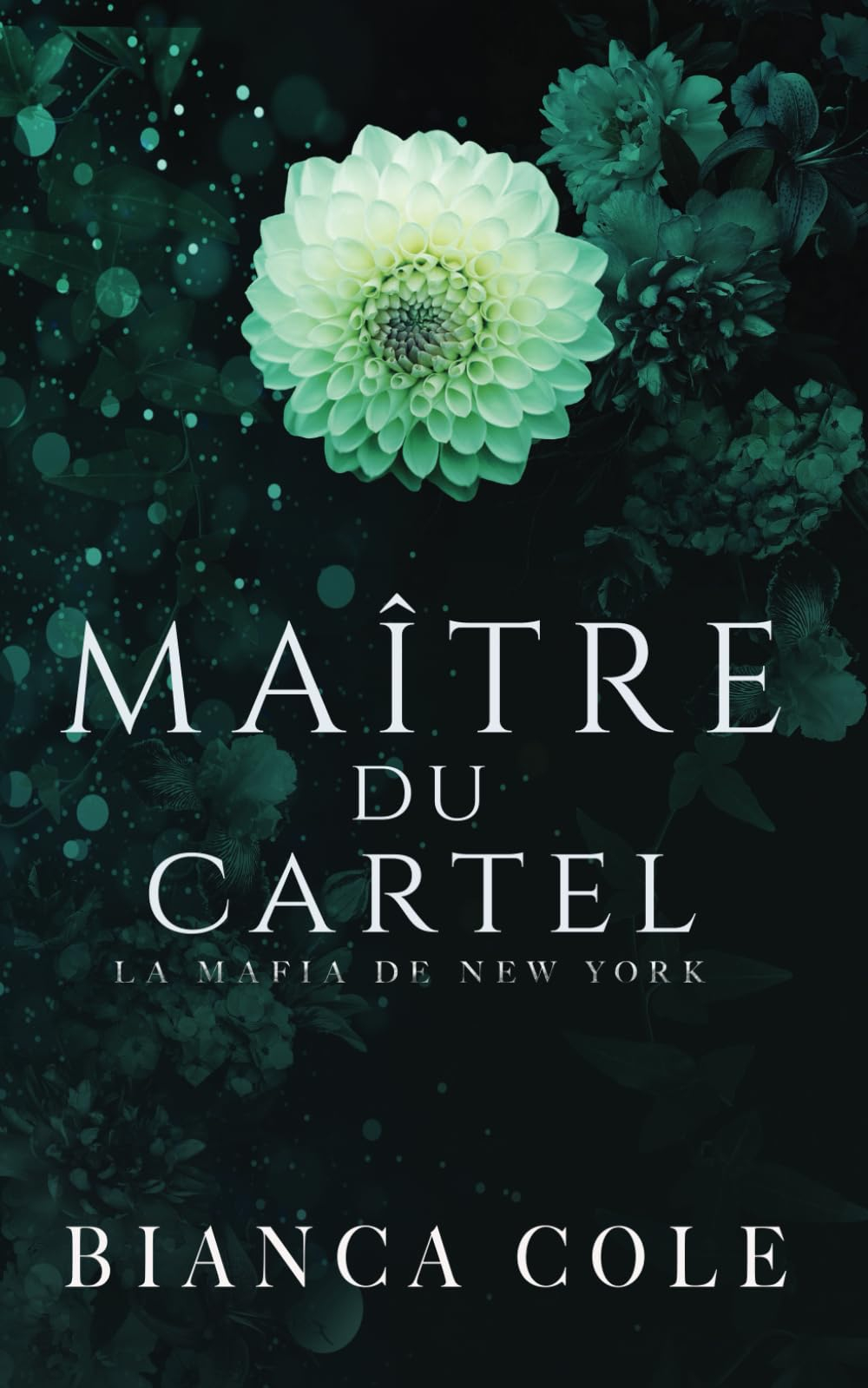 Maître du Cartel