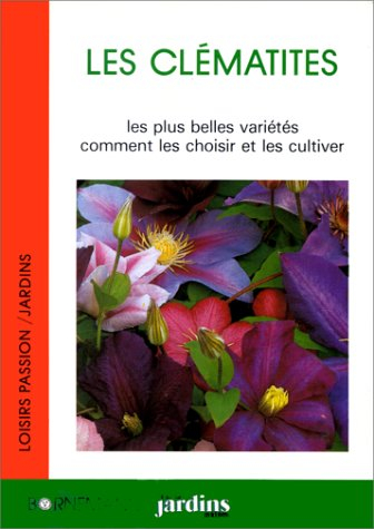 Les clématites : les plus belles variétés, comment les choisir et les cultiver