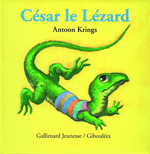 Les livres-tirettes Drôles de petites bêtes. Vol. 10. César le lézard