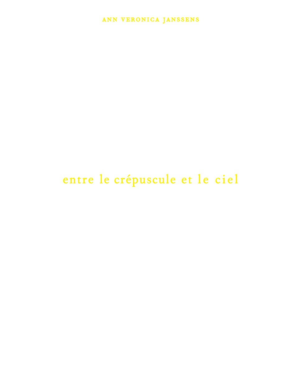 Ann Veronica Janssens : entre le crépuscule et le ciel