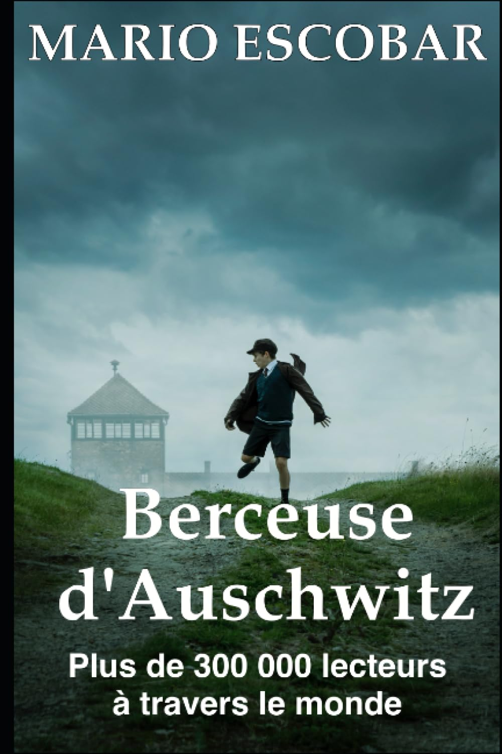 Berceuse d'Auschwitz: La véritable histoire d'Helen Hannemann, une mère qui s'est battue pour sa fam