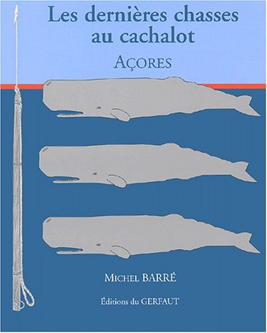 Açores les dernières chasses au cachalot
