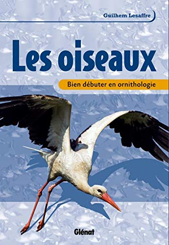 Les oiseaux : bien débuter en ornithologie