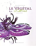 Le végétal sublimé : Hommage au jardin botanique de Lyon