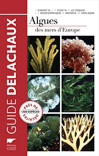 Algues des mers d'Europe