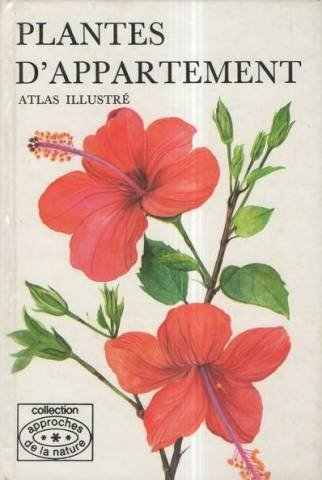 Plantes d'appartement