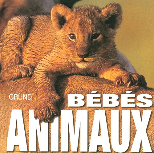 Les bébés animaux