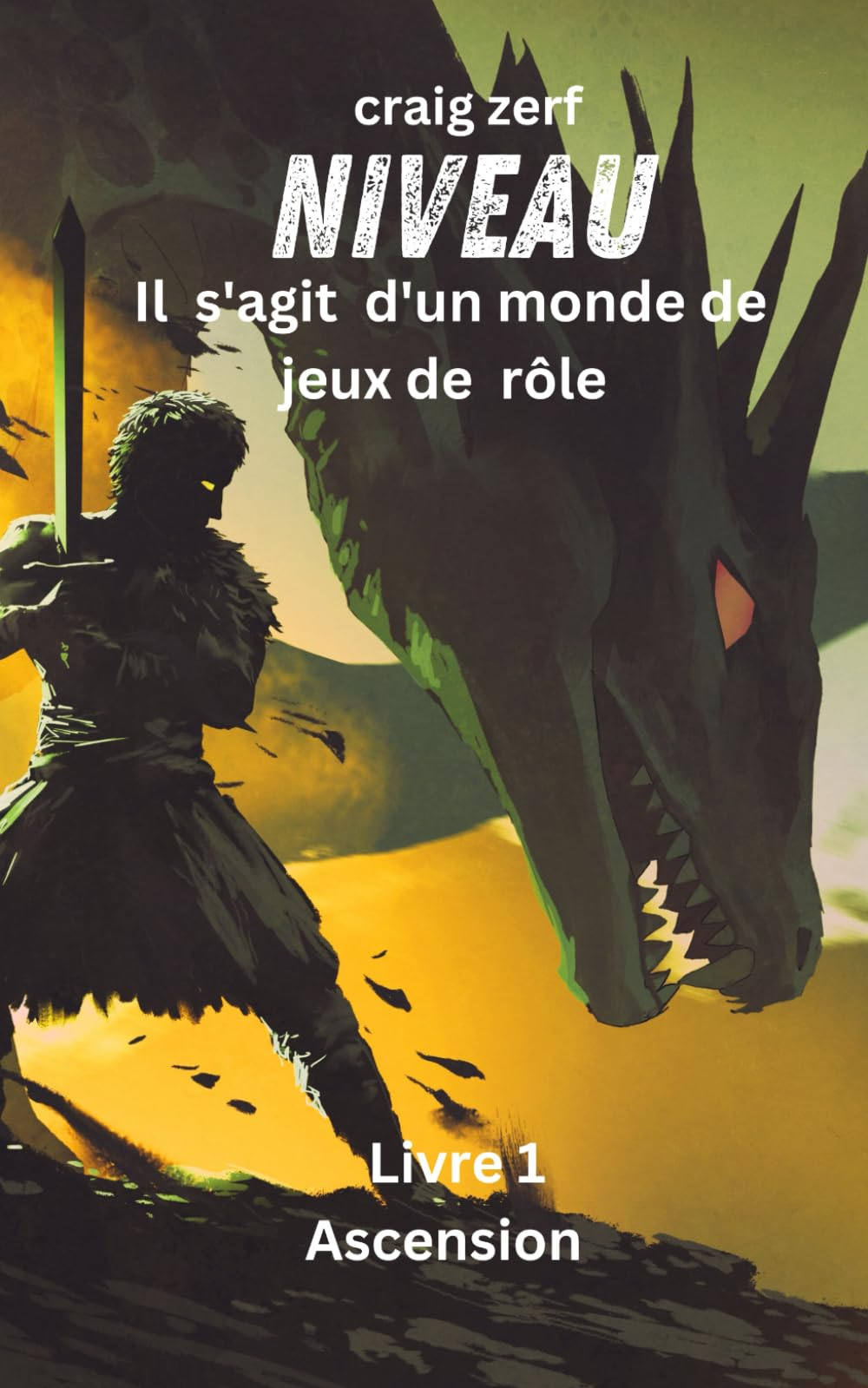 Niveau - Il s'agit d'un monde de jeux de rôle: Un roman d'aventure litRPG intégrant un système d'apo