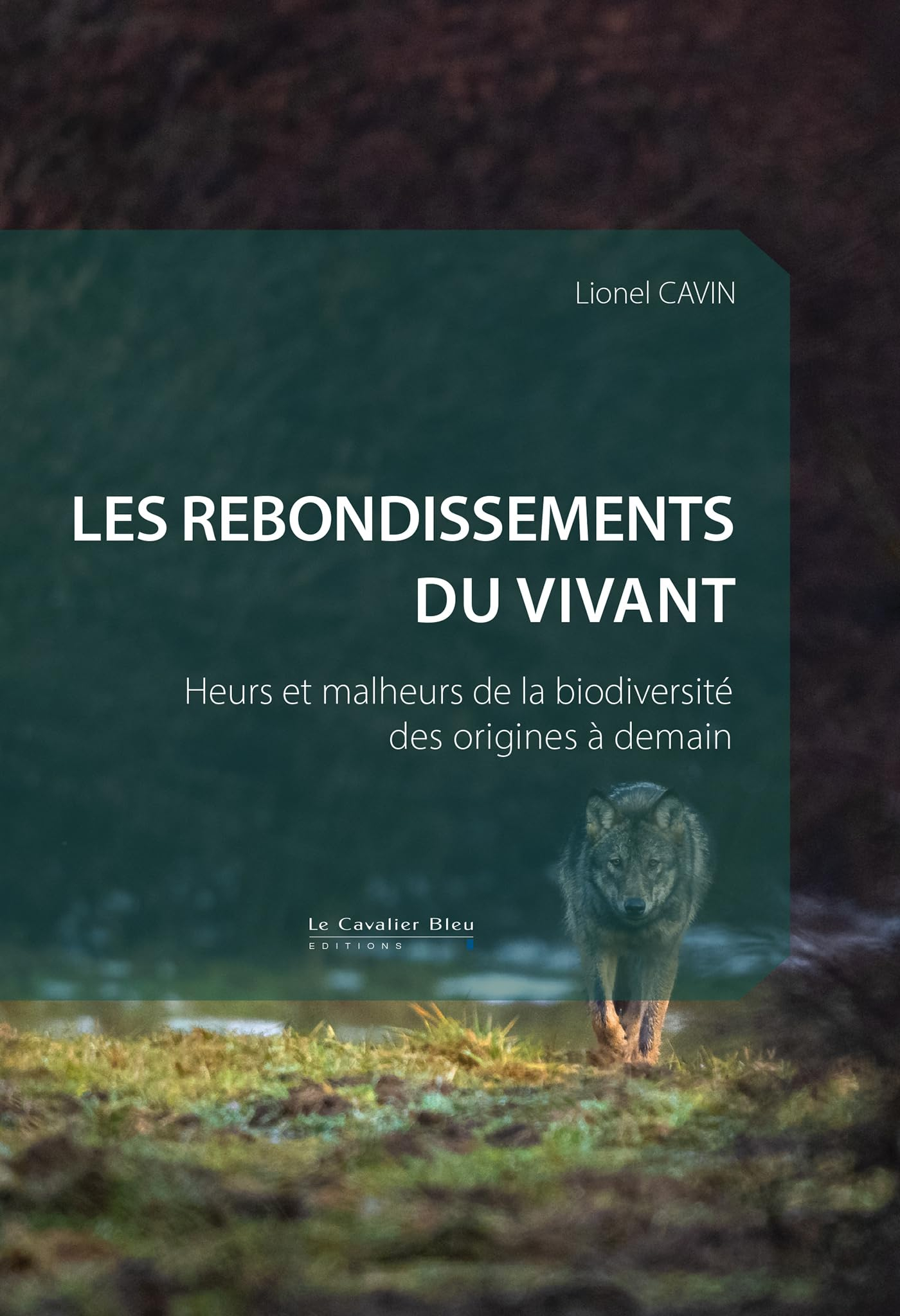 Les rebondissements du vivant : heurs et malheurs de la biodiversité des origines à demain