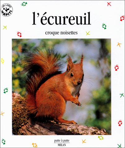 l'ecureuil. croque noisettes