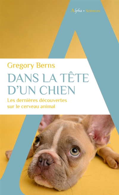 Dans la tête d'un chien : les dernières découvertes sur le cerveau animal