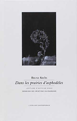 dans les prairies d'asphodèles