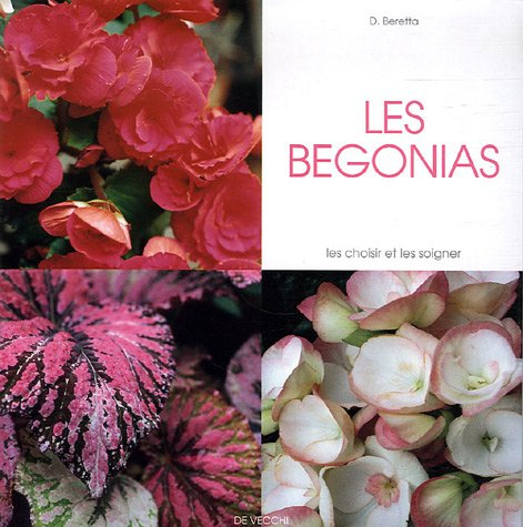 Les bégonias : les choisir et les soigner