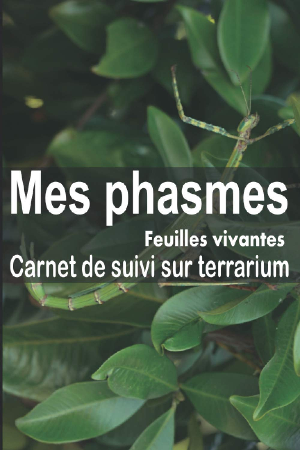 Mes phasmes carnet de suivi sur terrarium: Ayez avec vous le carnet idéal pour le suivi du quotidien