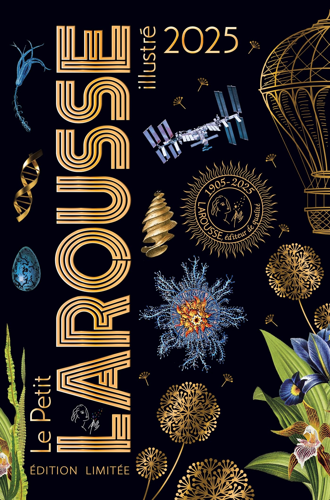 Le petit Larousse illustré 2025 : Noël : coffret