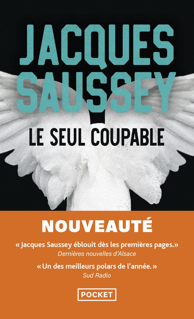 Le seul coupable