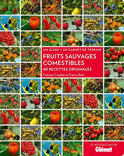 Fruits sauvages comestibles : 40 recettes originales : un guide + un carnet de terrain