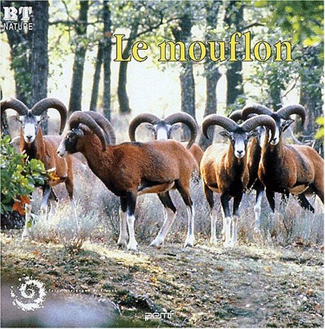 le mouflon