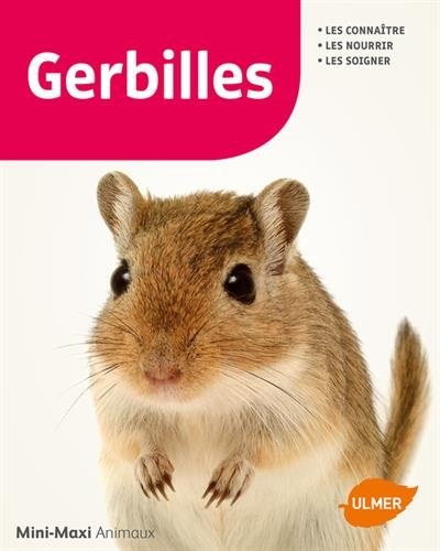 Gerbilles : les connaître, les nourrir, les soigner