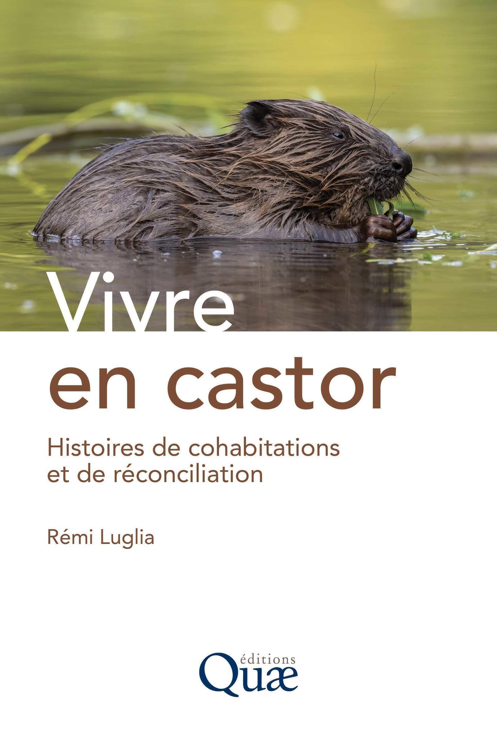 Vivre en castor : histoires de cohabitations et de réconciliation
