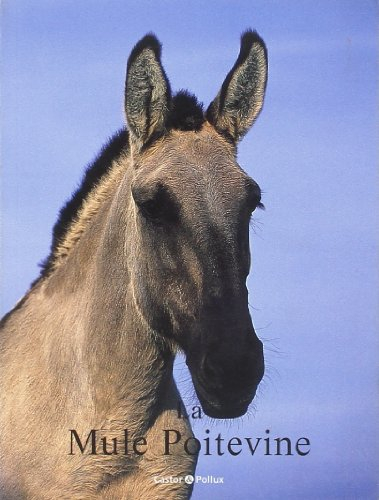 La mule poitevine