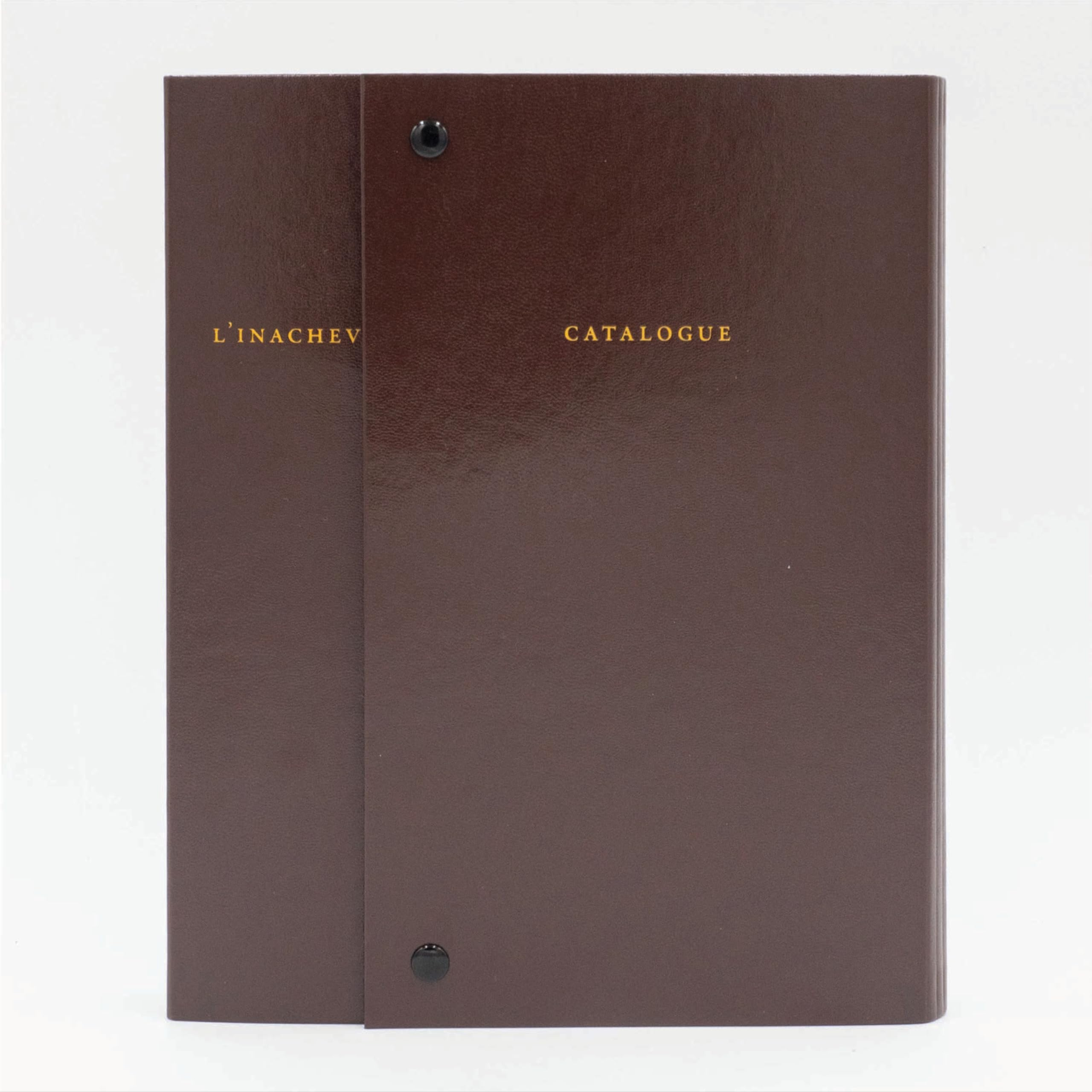 Catalogue raisonné de l'inachevé