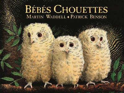 Bébés chouettes