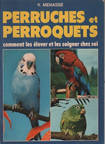 Perruches et perroquets : comment les élever et les soigner chez soi