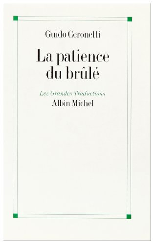 La patience du brûlé : carnets de voyage, 1983-1987