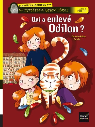 Les mystères du Grand Hôtel. Qui a enlevé Odilon ?