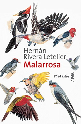 Malarrosa