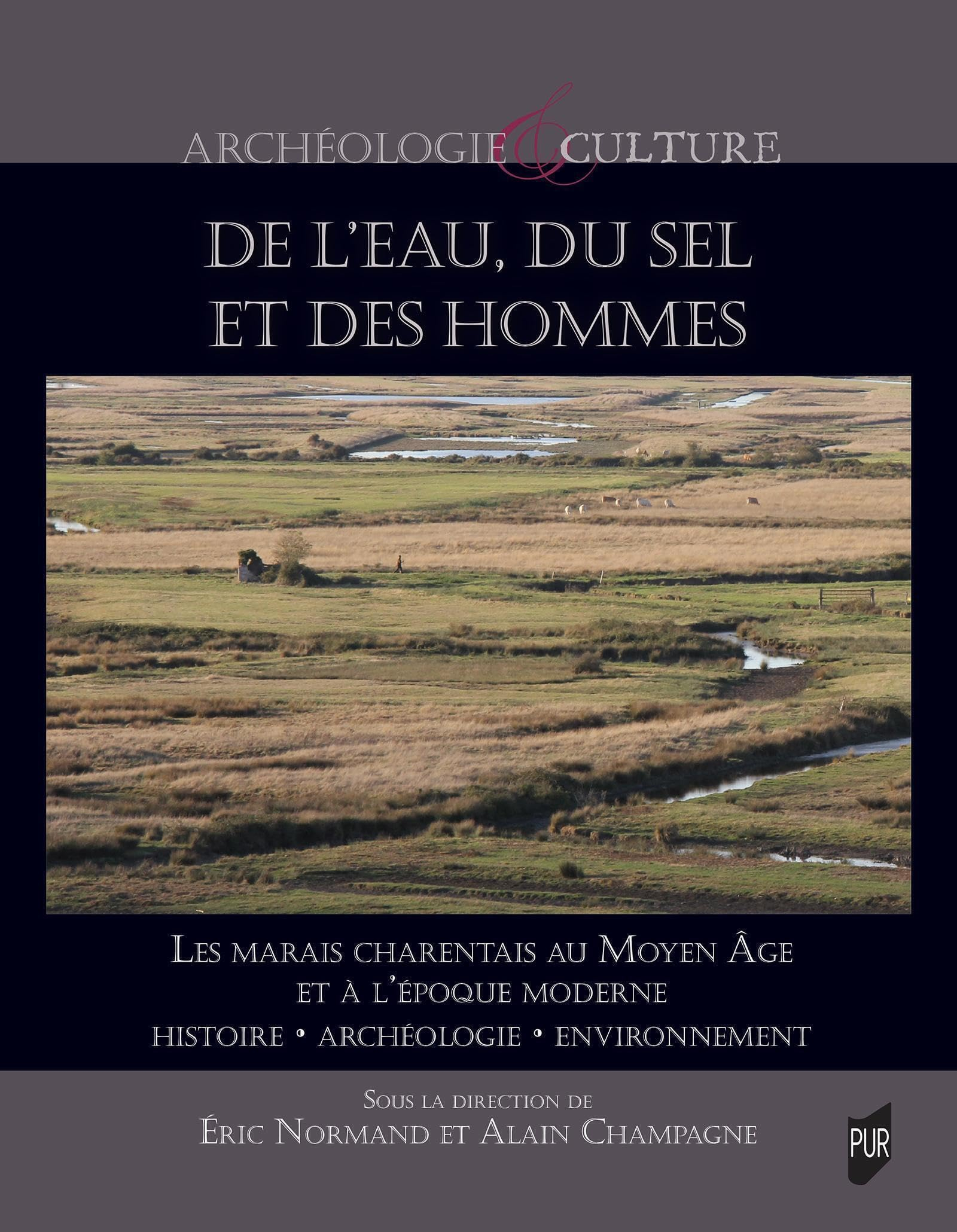 De l'eau, du sel et des hommes : les marais charentais au Moyen Age et à l'époque moderne : histoire