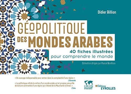 Géopolitique des mondes arabes : 40 fiches illustrées pour comprendre le monde